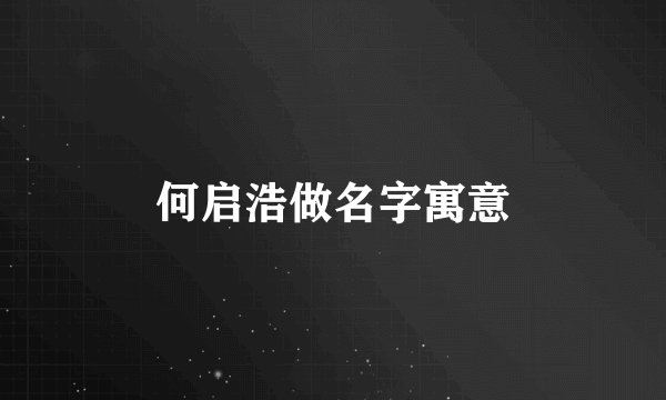 何启浩做名字寓意