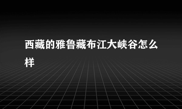 西藏的雅鲁藏布江大峡谷怎么样