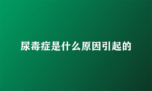 尿毒症是什么原因引起的