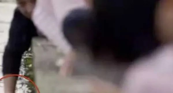 西湖鸳因为过度投喂被撑死,如何有效减少不文明投喂?