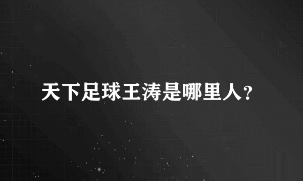 天下足球王涛是哪里人？