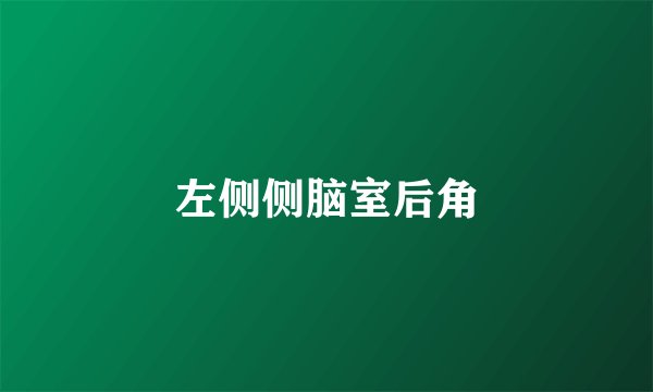 左侧侧脑室后角