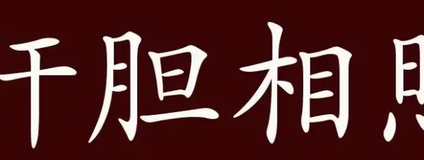 肝胆相照造句