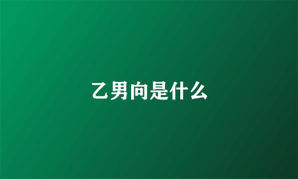 乙男向是什么