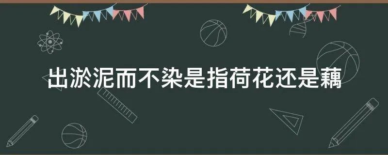 出淤泥而不染是指荷花还是藕