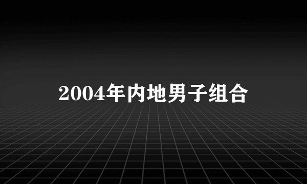 2004年内地男子组合