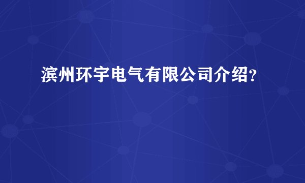 滨州环宇电气有限公司介绍?