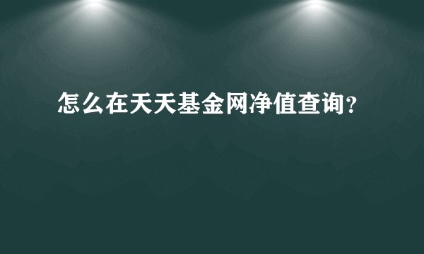 怎么在天天基金网净值查询?