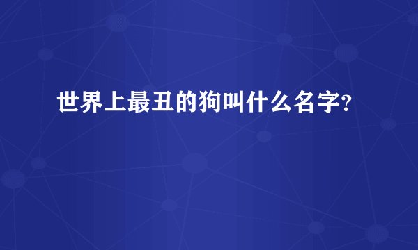 世界上最丑的狗叫什么名字？