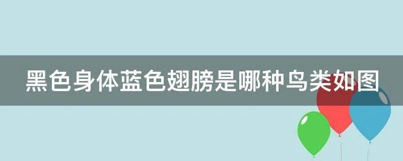 黑色身体蓝色翅膀是哪种鸟类如图