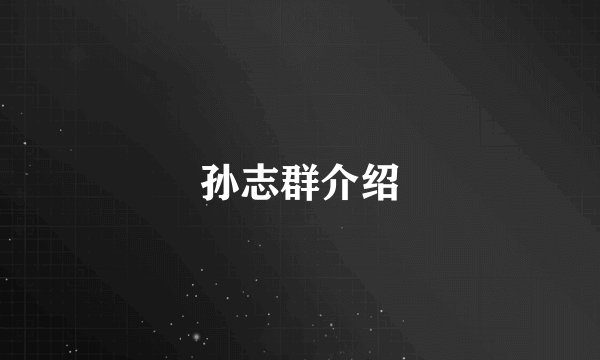 孙志群介绍