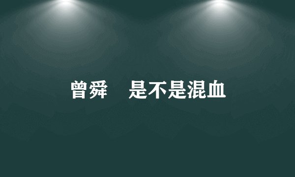 曾舜晞是不是混血