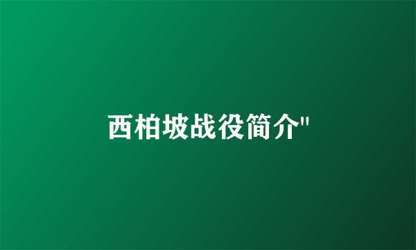 西柏坡战役简介