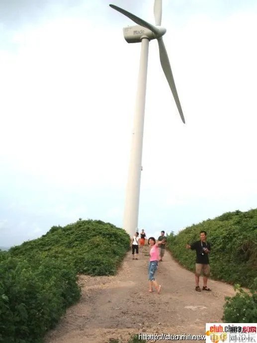 浮水洲岛