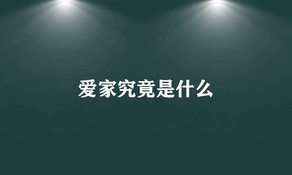 爱家究竟是什么