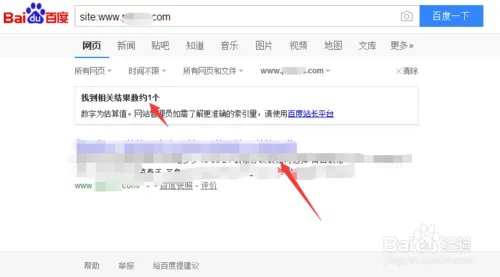 什么叫网站收录，怎么查收录