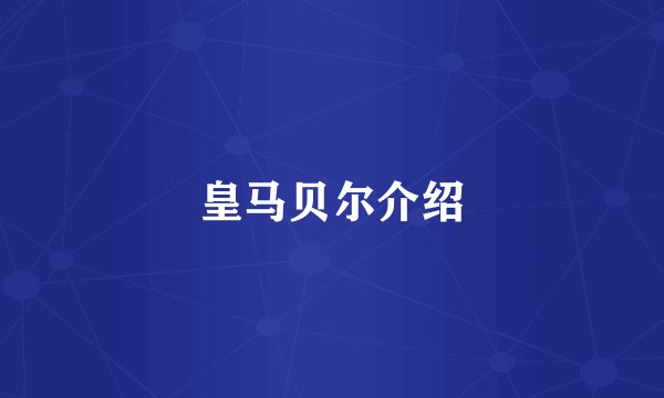 皇马贝尔介绍