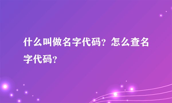 什么叫做名字代码？怎么查名字代码？