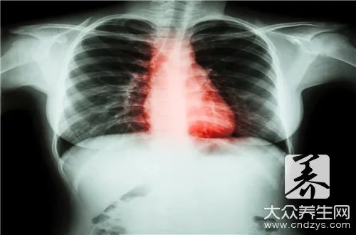 五脏六腑意思