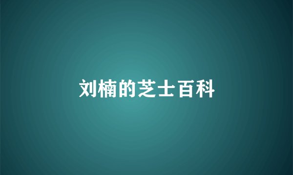 刘楠的芝士百科