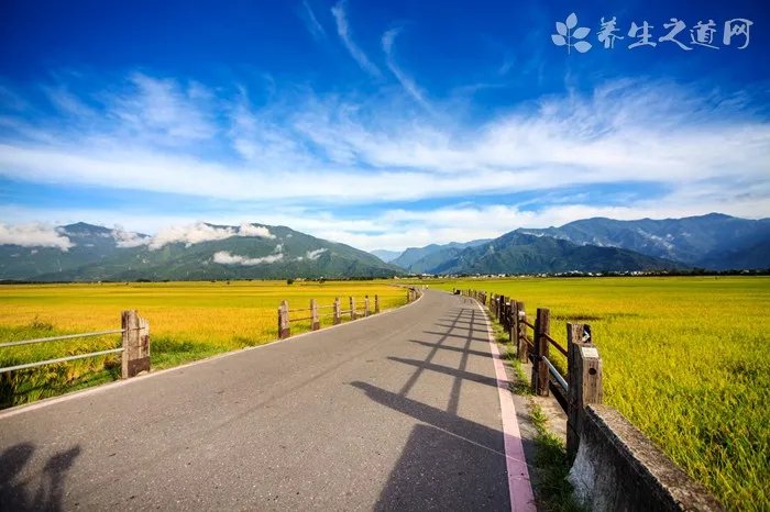 s日历怎么用