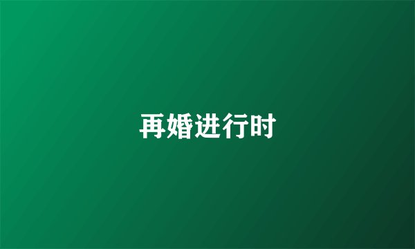 再婚进行时