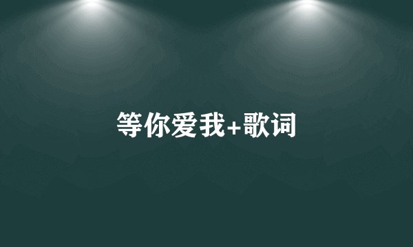 等你爱我+歌词
