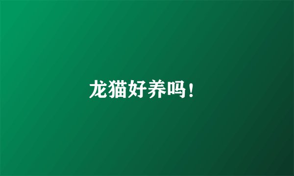 龙猫好养吗!