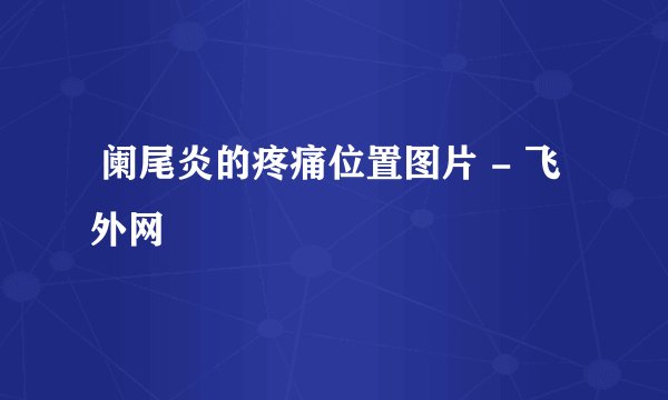  阑尾炎的疼痛位置图片 - 飞外网