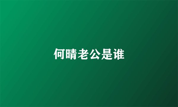 何晴老公是谁