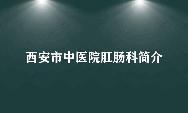西安市中医院肛肠科简介