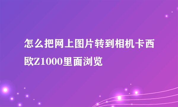怎么把网上图片转到相机卡西欧Z1000里面浏览