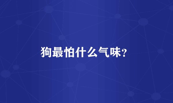狗最怕什么气味？
