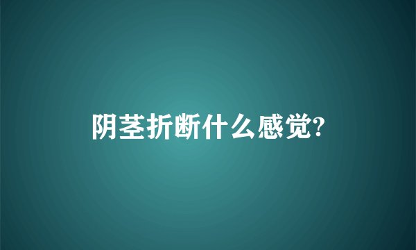 阴茎折断什么感觉?