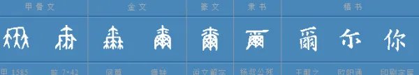 “你”字怎么组词？