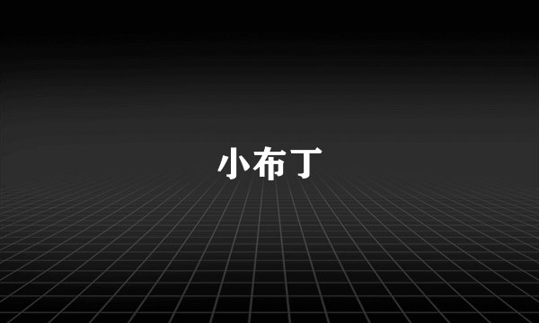小布丁