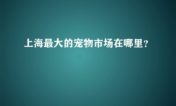 上海最大的宠物市场在哪里?