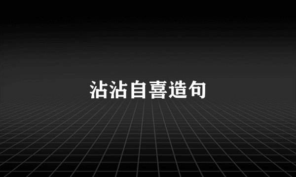 沾沾自喜造句