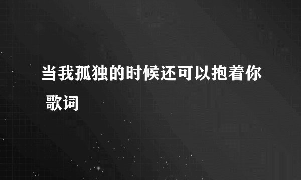 当我孤独的时候还可以抱着你 歌词