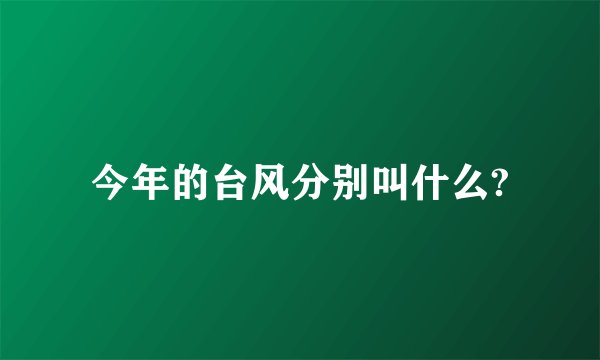 今年的台风分别叫什么?