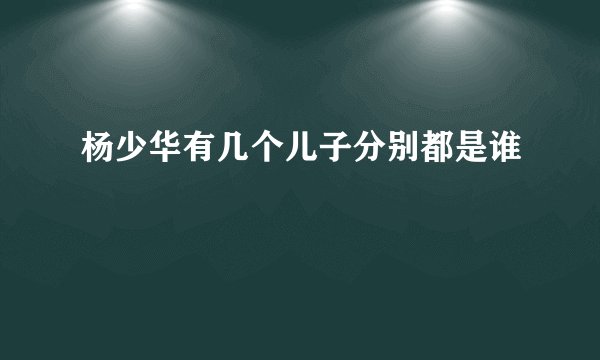 杨少华有几个儿子分别都是谁