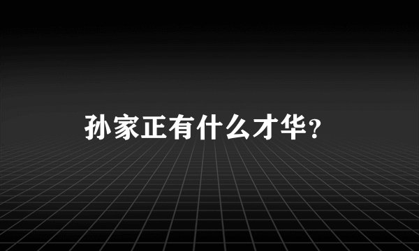孙家正有什么才华？