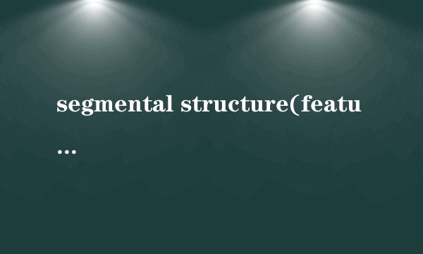 segmental structure(feature geometry)
