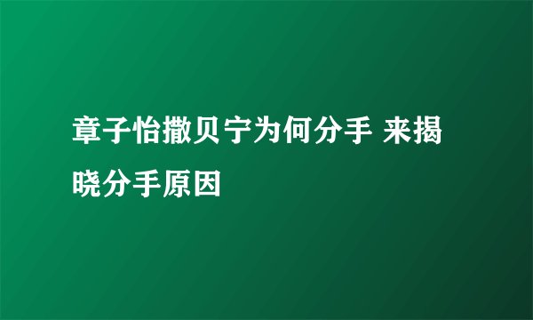 章子怡撒贝宁为何分手 来揭晓分手原因