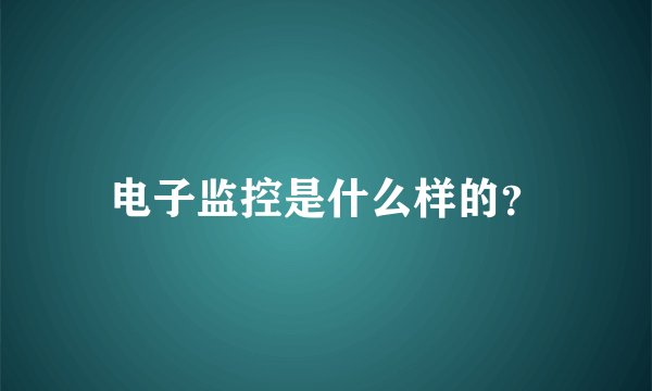 电子监控是什么样的？
