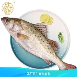 海鲈鱼价格多少钱一斤