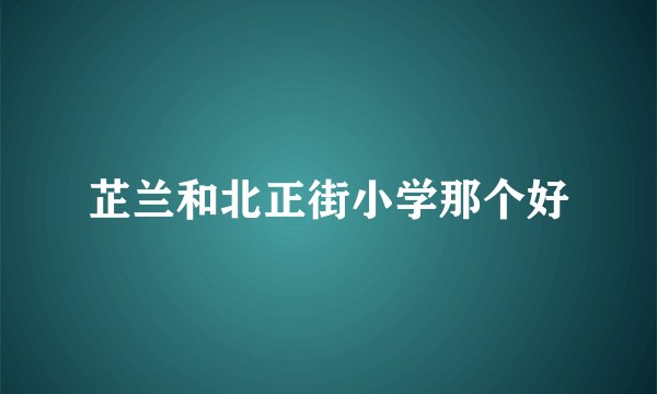 芷兰和北正街小学那个好