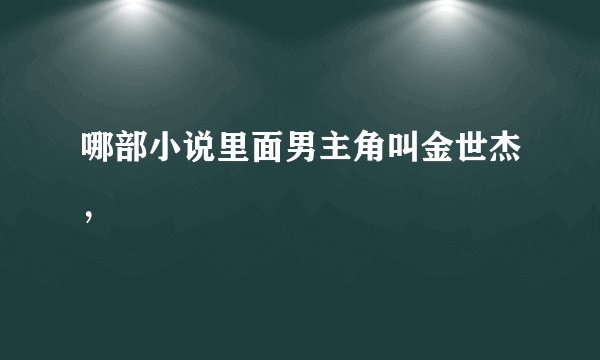 哪部小说里面男主角叫金世杰，