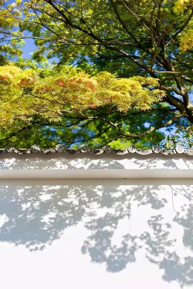 今日立秋,农村老人常说的“啃秋”是什么意思?