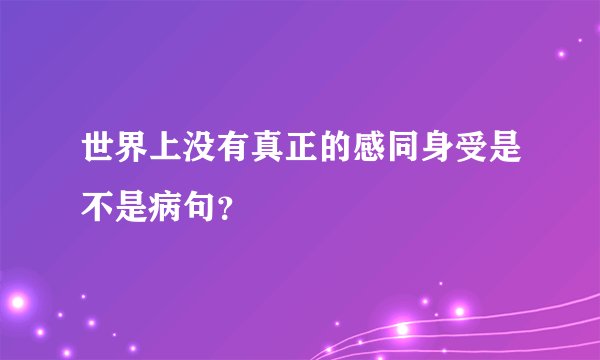世界上没有真正的感同身受是不是病句？